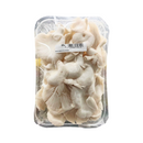 Oyster Mushroom Species