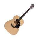 Paul Allen Lazer Acoustic Guitar