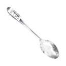 Stainless Steel Tea Spoon