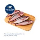 Solid Fish (Bilason)