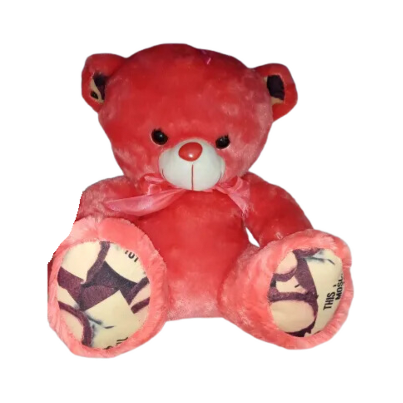 Stuffed Toy Bear With Ribbon Printed Feet Dark Pink