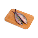 Solid Fish (Bilason)