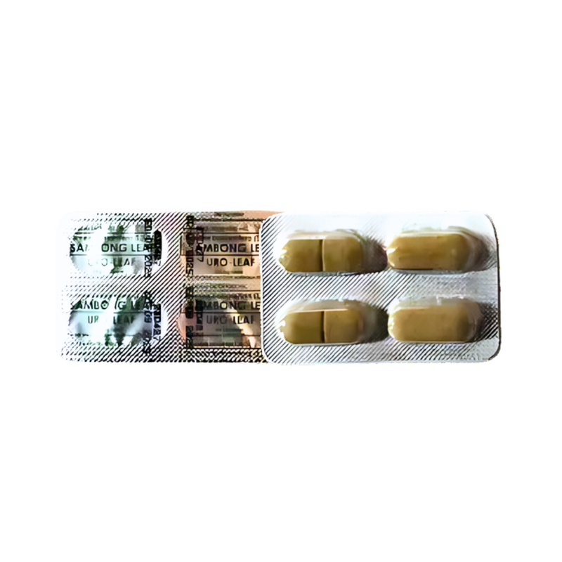 Sambong Leaf 500mg Tablet By 4's