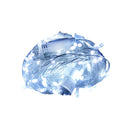 Fuji Bright 100 LED Steady Light Clear Wire White