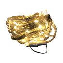 Fuji Bright 100 LED Chasing Light Clear Wire