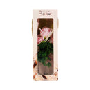 Ideal Living Flower Bouquet In Box