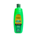 Green Cross Isopropyl Alcohol 70% Regular 500ml