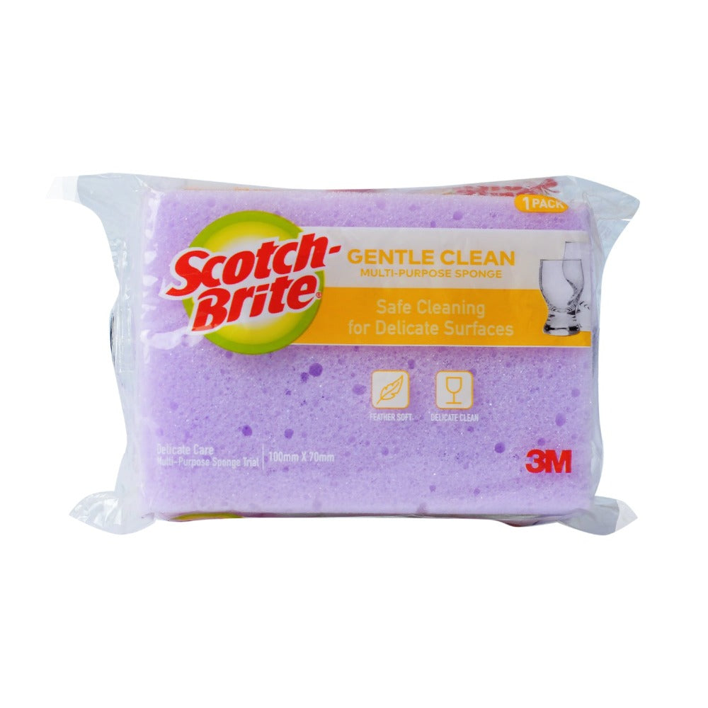 Scotch-Brite All Purpose Net Sponge - Households