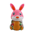 Jorizza Fruit Jelly Rabbit Jar Big 800g