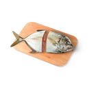 Talakitok (Maliputo)