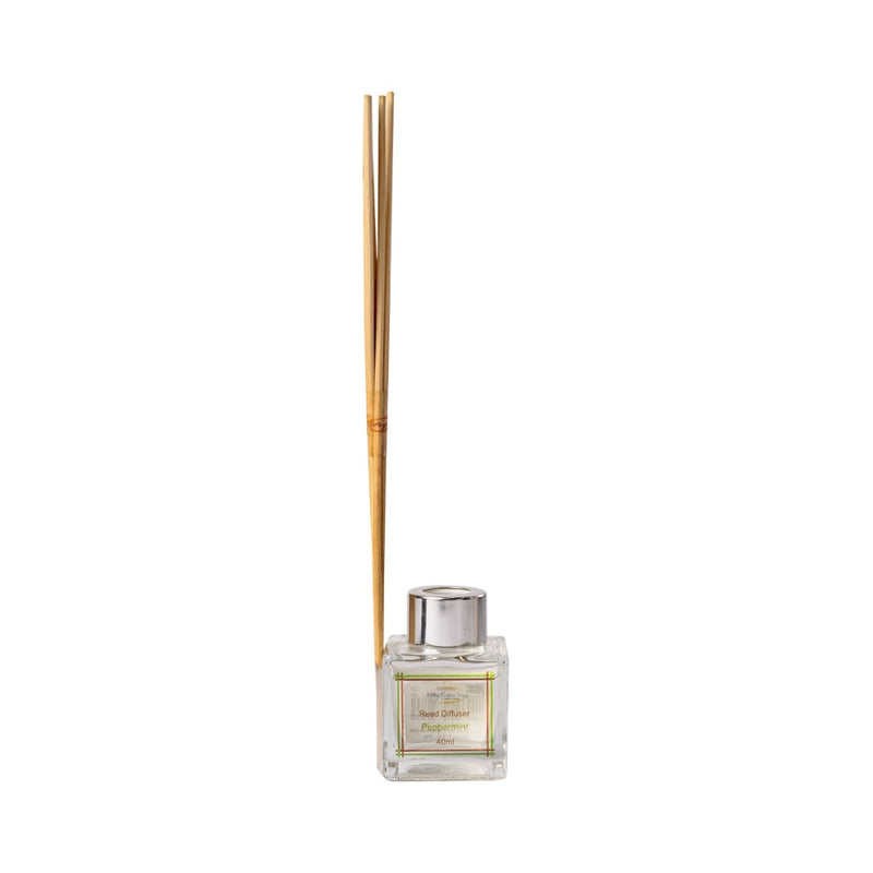 Perfumista Reed Diffuser Set Peppermint 40ml