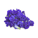 Fresh Blue Ternatea Packed