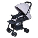 Giant Carrier Stroller Aiki