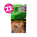 Fortune Extra Menthol FTB 20 Sticks Pack