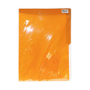 Colored File Folder Short 3's