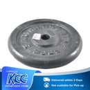 Hammertone Plates 20lbs