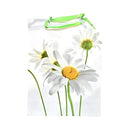 Coated Paper Bag All Occasion