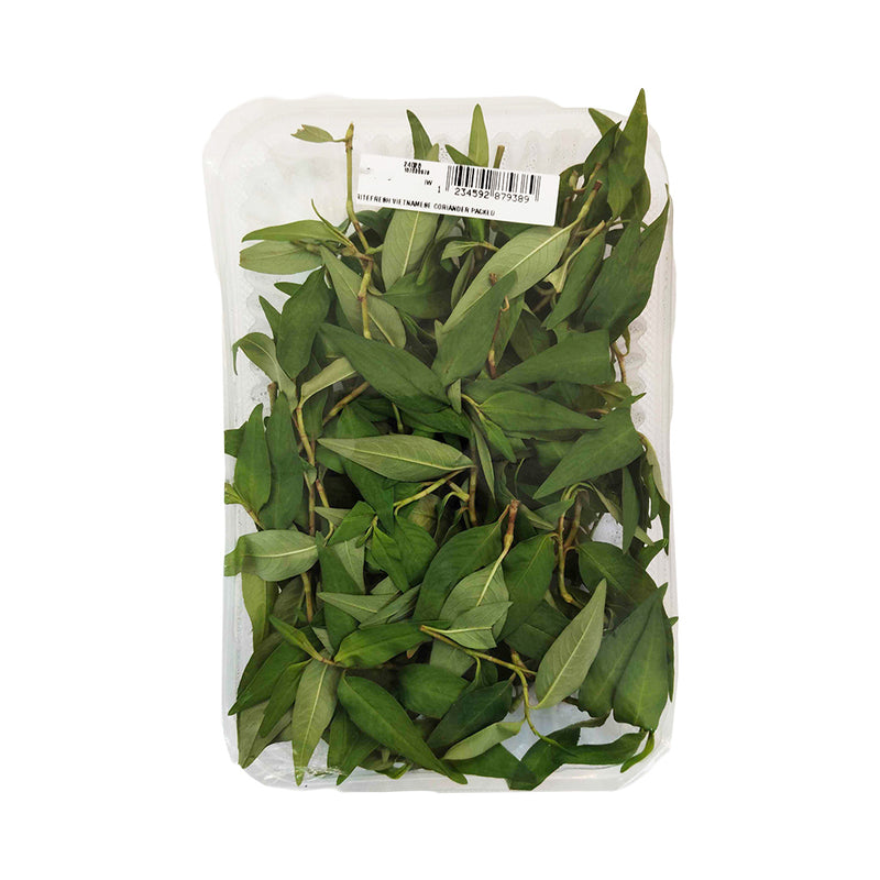 Ritefresh Vietnamese Coriander Packed