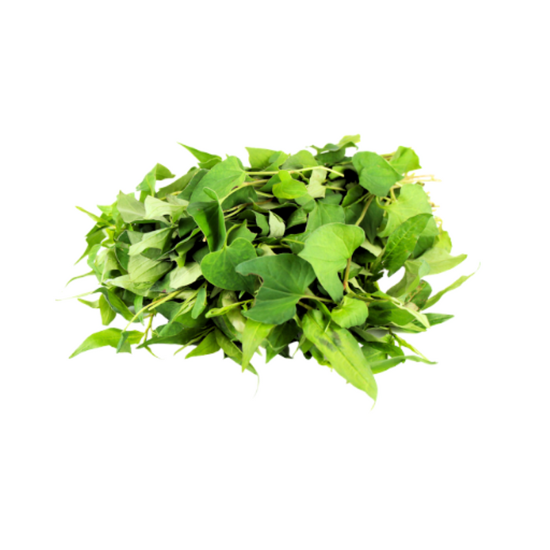 Ritefresh Vietnamese Coriander Packed