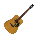 Lazer Cort Acoustic With Bag