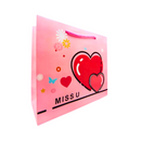 Coated Paper Bag All Occasion Large