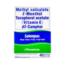 Hisamitsu Salonpas Medicated Patch 40's