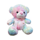 Stuffed Toy Rainbow Bear