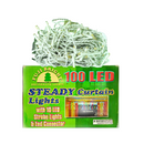 Fuji Bright 100 LED Christmas Light Steady Curtain Light With 10 Strobes White Wire