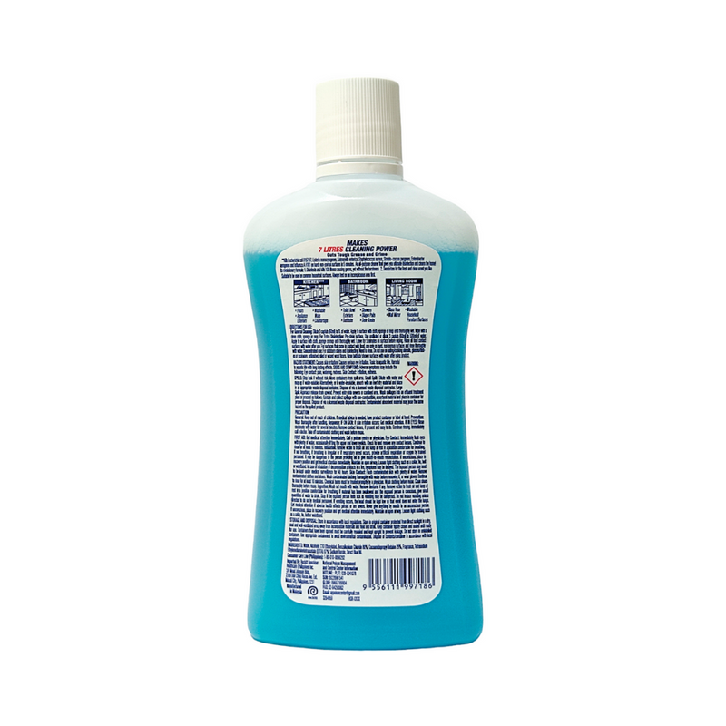 Lysol Disinfectant Multi Action Cleaner Marine Bottle 450ml