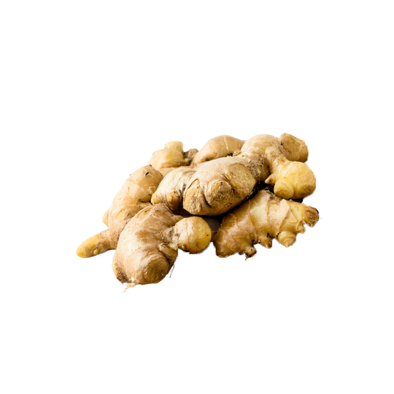 Ginger