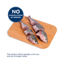 Solid Fish (Bilason)