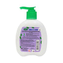 Green Cross Antibacterial Hand Soap Floral Care With Pump