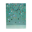 Coated Paper Bag All Occasion XLarge