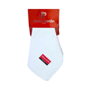 Pierre Cardin Mens Handkerchief