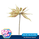 Ideal Living Christmas Poinsettia