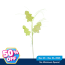 Ideal Living Christmas Picks