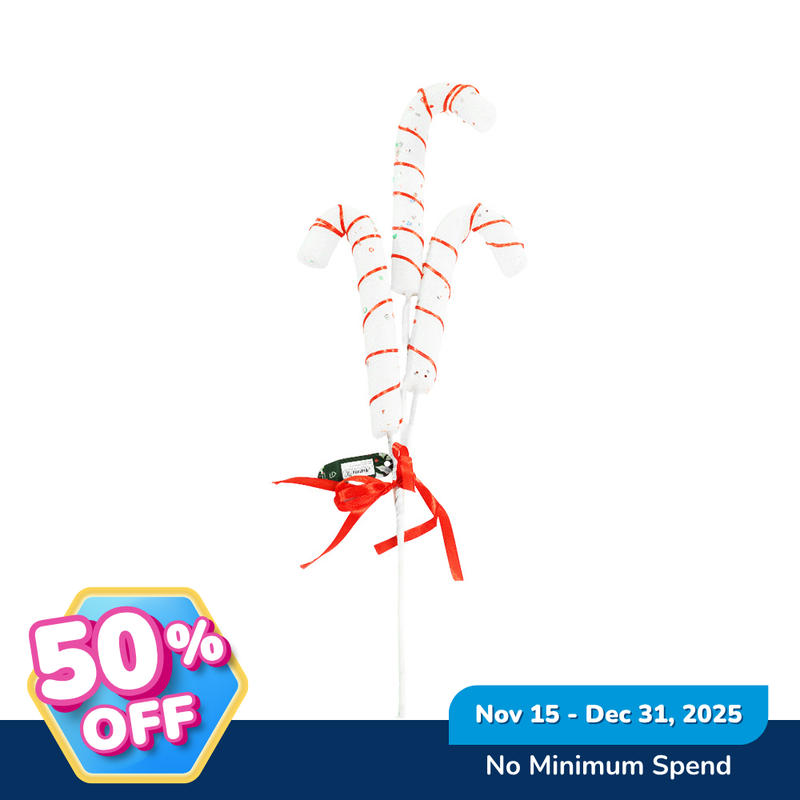 Ideal Living Christmas Picks