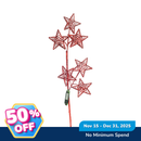 Ideal Living Christmas Picks