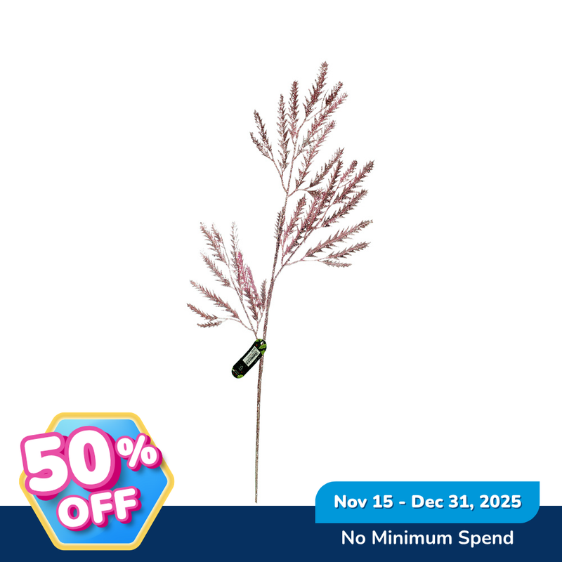 Ideal Living Christmas Picks