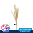 Ideal Living Decorative Pampas Grass Stem