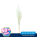 Ideal Living Decorative Pampas Grass Stem
