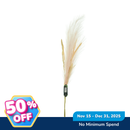 Ideal Living Decorative Pampas Grass Stem