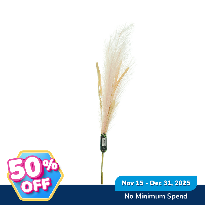 Ideal Living Decorative Pampas Grass Stem