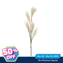 Ideal Living Decorative Pampas Grass Stem