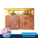 Ideal Living Christmas Gift Box 2's