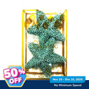 Ideal Living Christmas Star 2's