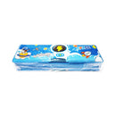 Magnetic Pencil Case