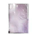 Axis Fixed Clearbook 20 Pockets