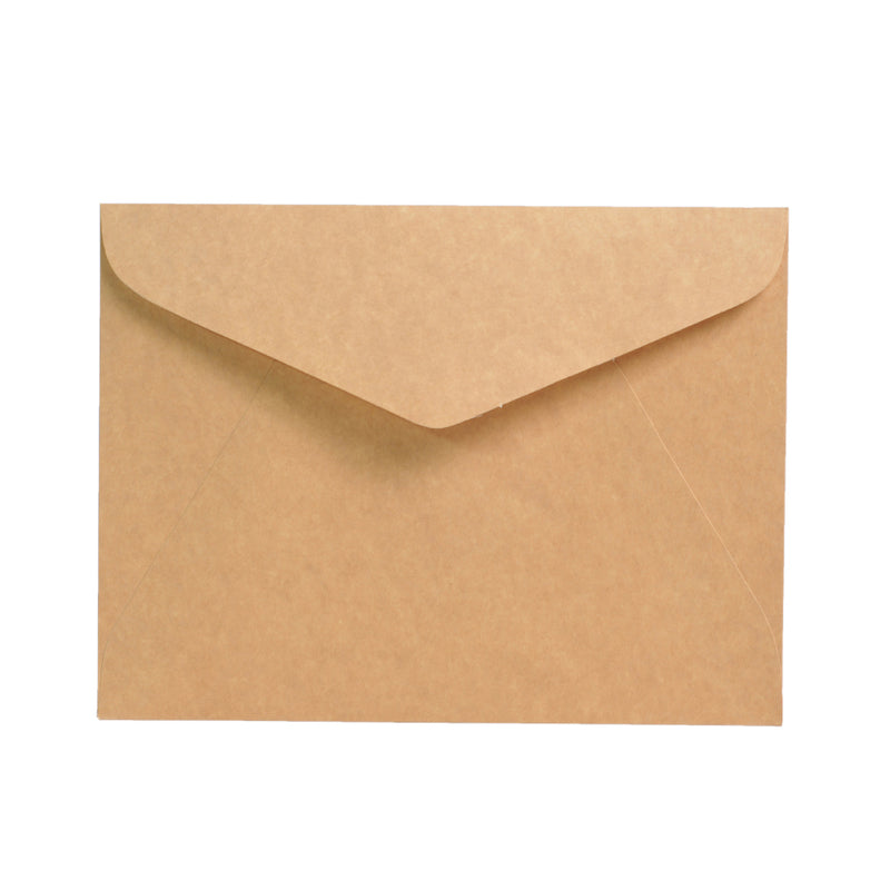 Carrier Board Envelope Short