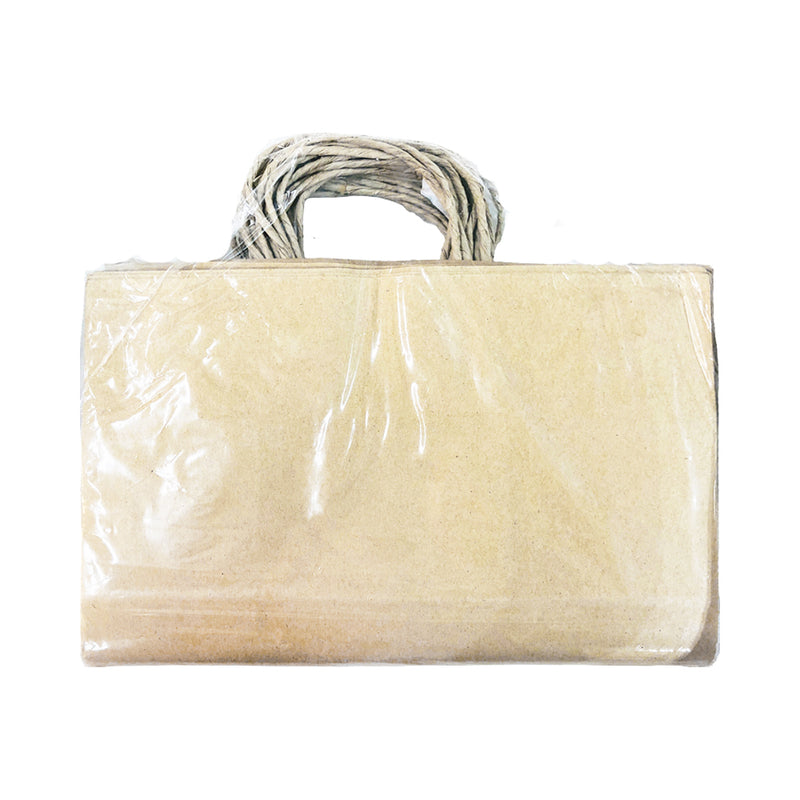 Pop I Paper Shopping Bag 10's